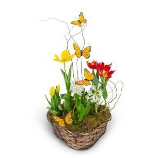 Blooming Bulbs with Butterflies