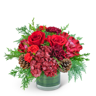 Ruby Red Velvet