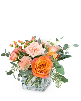 Coral Crush