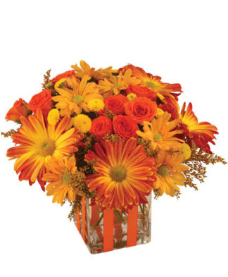 Bonfire Nights by Flower Shop Network