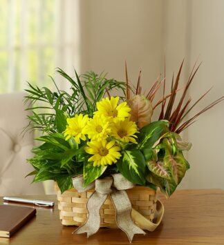 Dish Garden with Fresh Cut Flowers