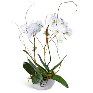 Luxe Double Orchid