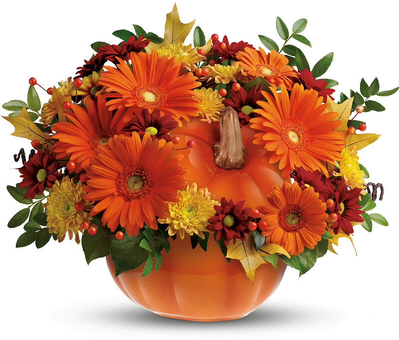 Country Pumpkin - Image 3
