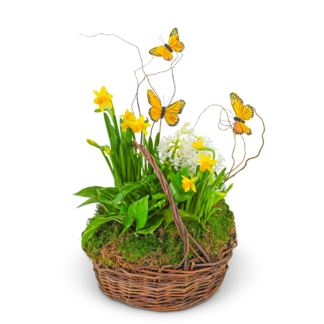 Spring Plants with Butterflies