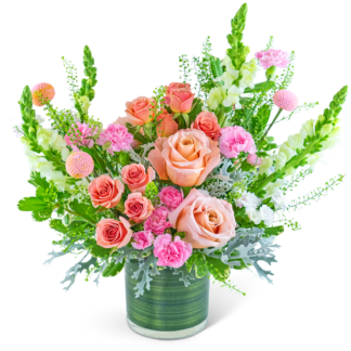 Rosy Coral Sundance
