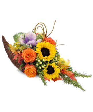 Horn of Plenty