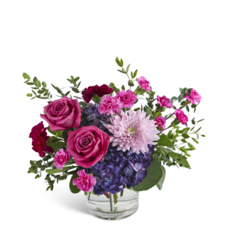 Magenta Muse
