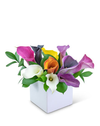 Calming Calla Lilies