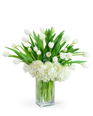 White Elegance