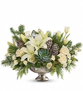 Deluxe Wild Winter