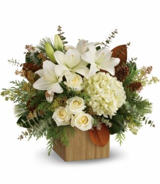 Snowy Woods by Teleflora