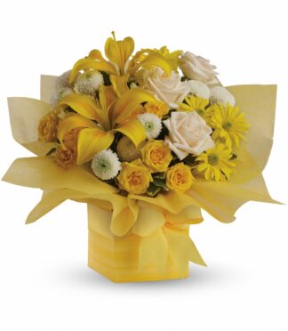Sunshine Suprise Present