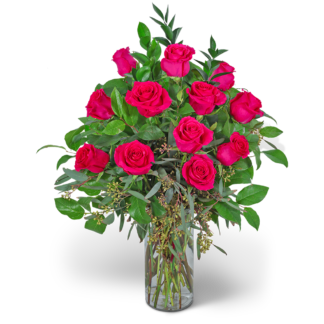 One Dozen Hot Pink Roses