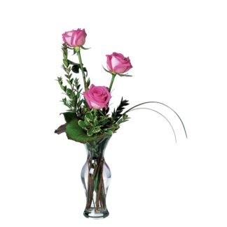 Tender Trio of Roses
