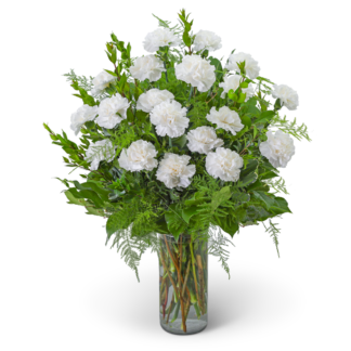 Harmony in White