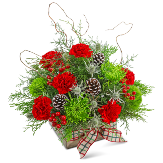 Joyful Tidings