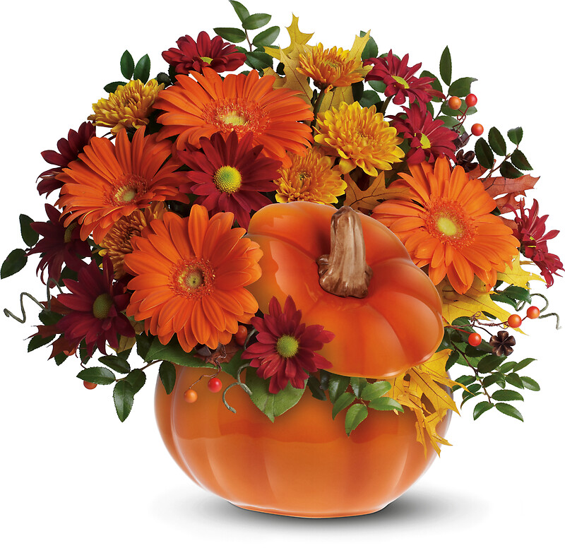 Country Pumpkin - Image 2