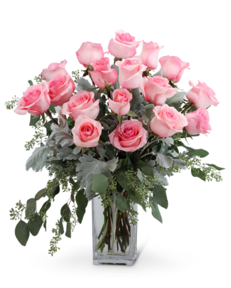 Pink Roses (18)