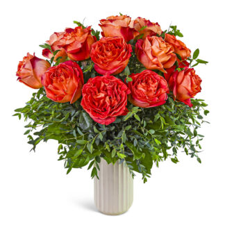 One Dozen Chic Wild Spirit Roses