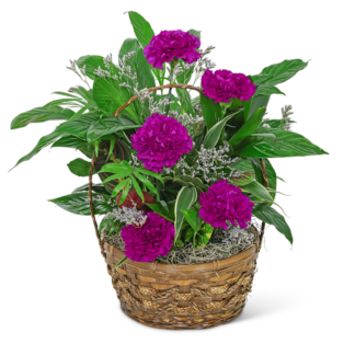 Dish Garden with Purple Florals