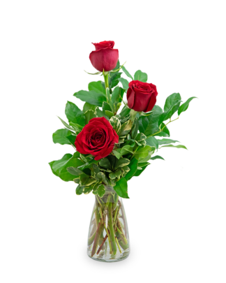 Red Roses (3)
