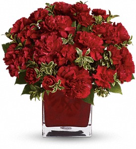 In Love With Red