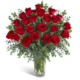Two Dozen Red Hot Roses