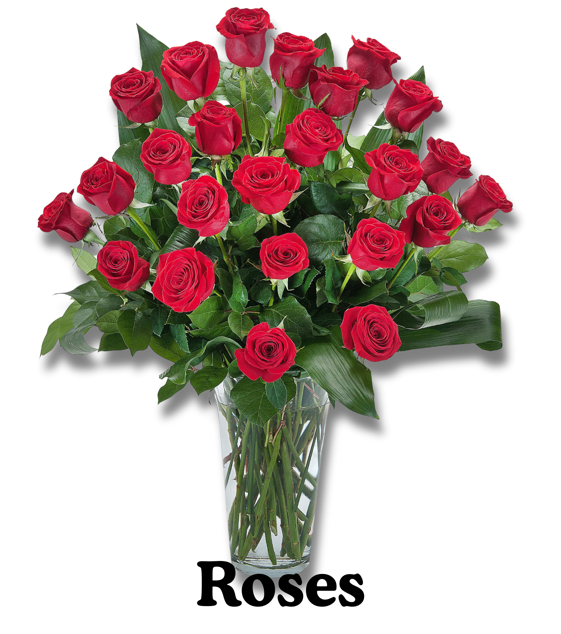 roses
