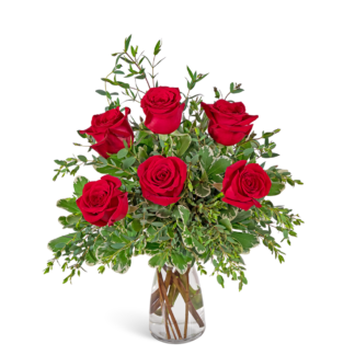 Half Dozen Red Roses