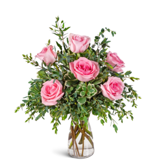 Half Dozen Pink Roses