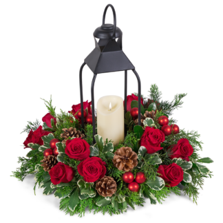 Crimson Evergreen Lantern