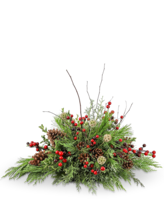 Evergreen Embrace
