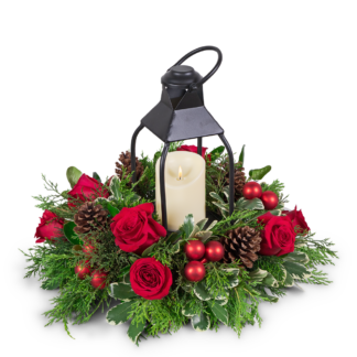 Crimson and Pine Lantern