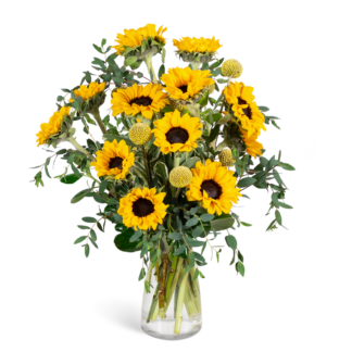 Wildflower Sunshine