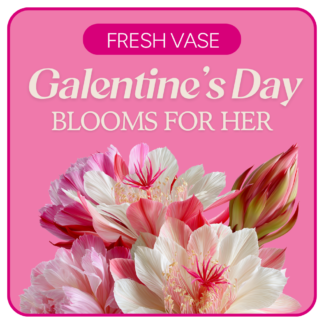 Designer's Choice for Galentine's Day