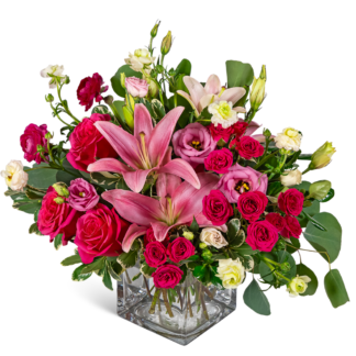 Smitten Lily Garden