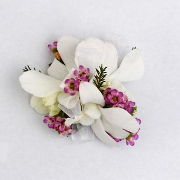 Lush Orchid Corsage
