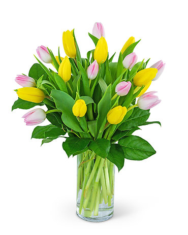 Strawberry Lemonade Deluxe Tulips