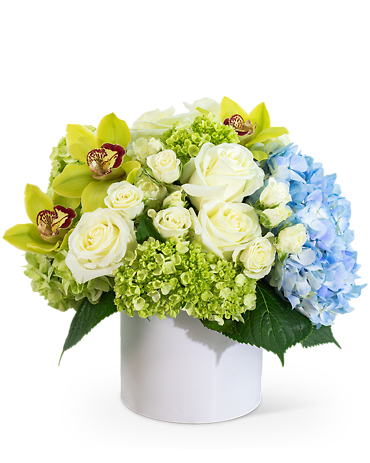 Luxe Home Garden with Orchids