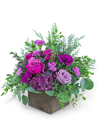 Violet\'s Song