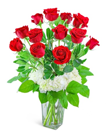 One Dozen Red Roses with Hydrangea