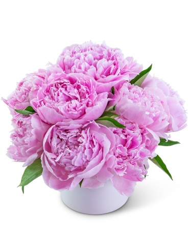 Peony Paradise