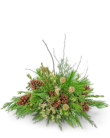 Evergreen Simplicity