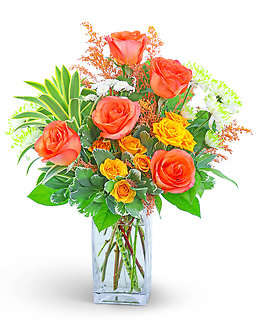 Father\'s Day