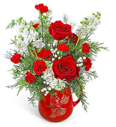 Scarlet Flight Pitcher