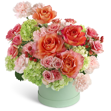 Blooming Coral Garden