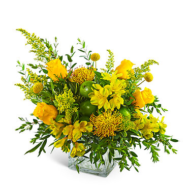 Zest and Sunshine