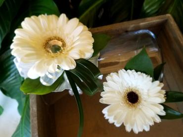 Bold - White -wristlet and boutonniere