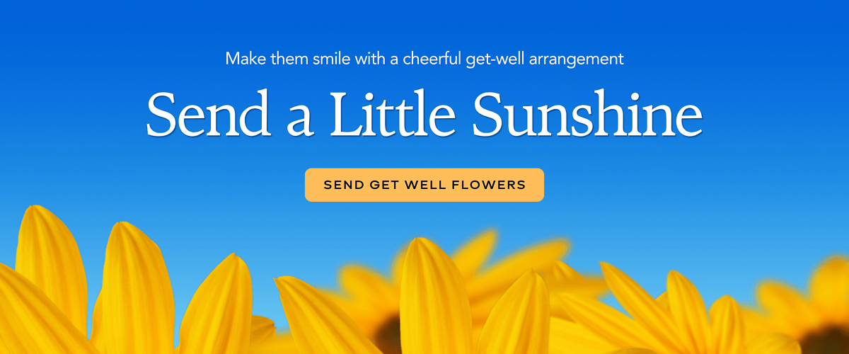Get Well Summer
