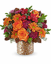 Fall Radiant Mosaic